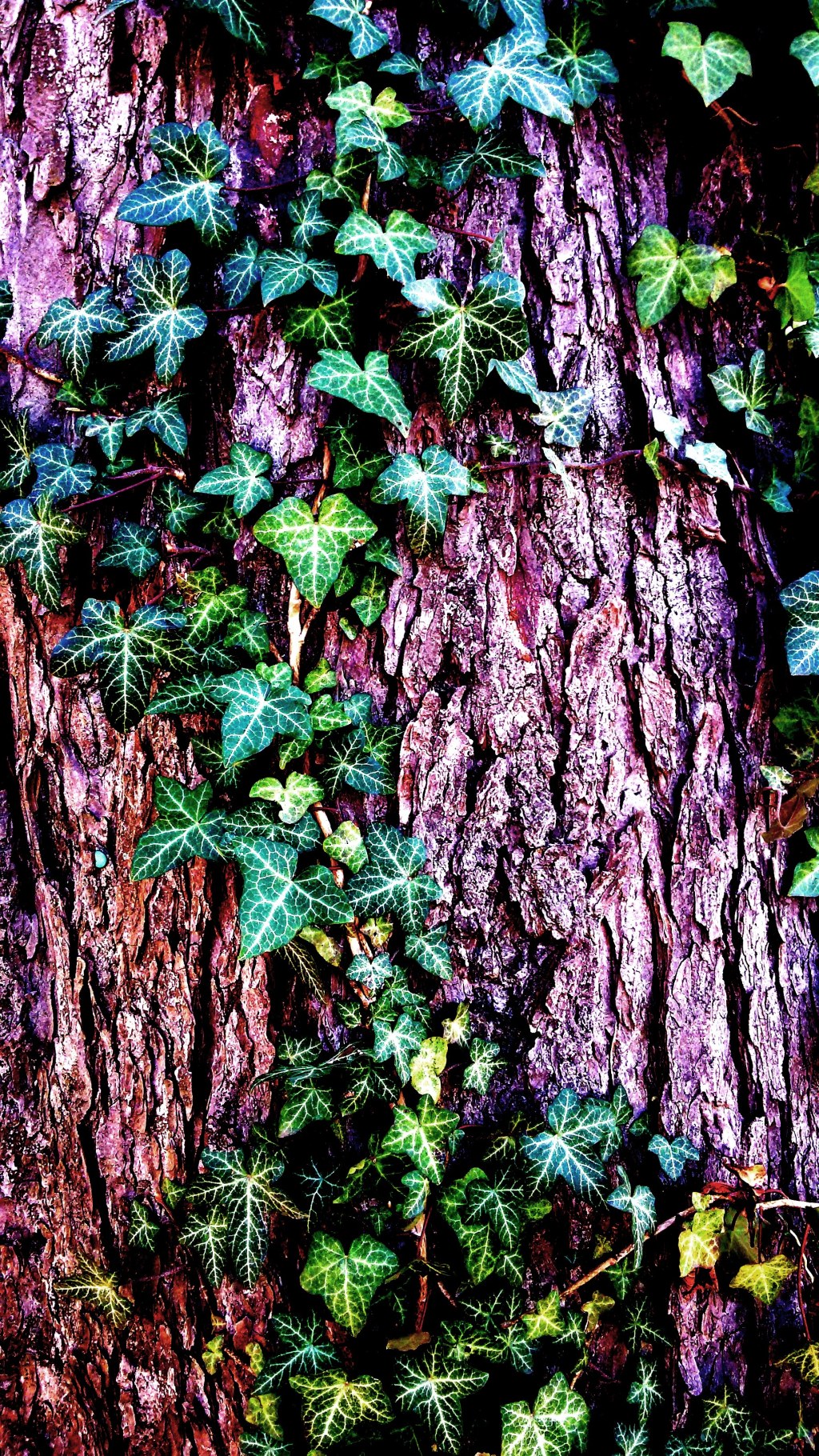 Die Kunde von Jeftah – 17. Der&nbsp;Segen