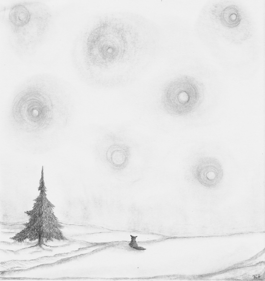 Allein, aber nicht&nbsp;einsam