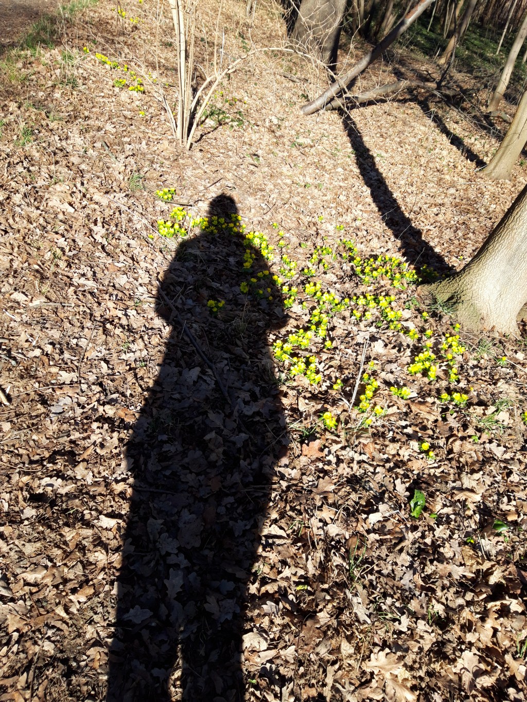 Schräg einfallendes Leuchten